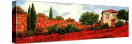 Stretched Canvas