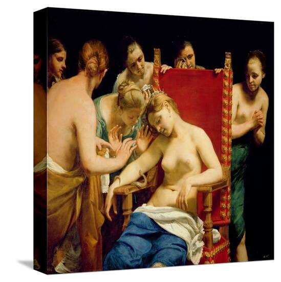 Stretched Canvas Print, , large