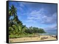 Canvas Black