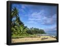 Essential Black