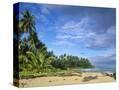 Stretched Canvas