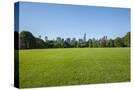 Stretched Canvas