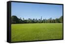 Canvas Black