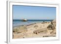 Chelsea White