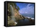 Canvas Black