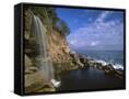 Canvas Black