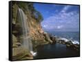Canvas Black