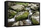 Canvas Black