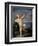 Guido Reni / Cupid, 1637-1638-Guido Reni-Framed Giclee Print