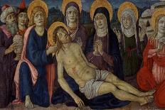 St. Vincent Ferrer, C.1500-Guidoccio Di Giovanno Cozzarelli-Giclee Print
