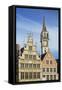 Guild houses and Town Hall in historic centre, Ghent, Flanders, Belgium, Europe-Ian Trower-Framed Stretched Canvas