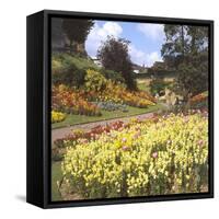 Guildford Castle Gardens-null-Framed Stretched Canvas