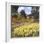 Guildford Castle Gardens-null-Framed Photographic Print