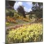 Guildford Castle Gardens-null-Mounted Photographic Print