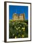 Guildford Spring-Charles Bowman-Framed Photographic Print