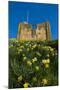 Guildford Spring-Charles Bowman-Mounted Photographic Print