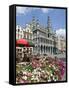 Guildhalls in the Grand Place, UNESCO World Heritage Site, Brussels, Belgium, Europe-Christian Kober-Framed Stretched Canvas