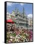 Guildhalls in the Grand Place, UNESCO World Heritage Site, Brussels, Belgium, Europe-Christian Kober-Framed Stretched Canvas
