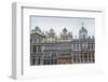 Guildhalls on Grand Place in Brussels, Belgium.-Anibal Trejo-Framed Photographic Print