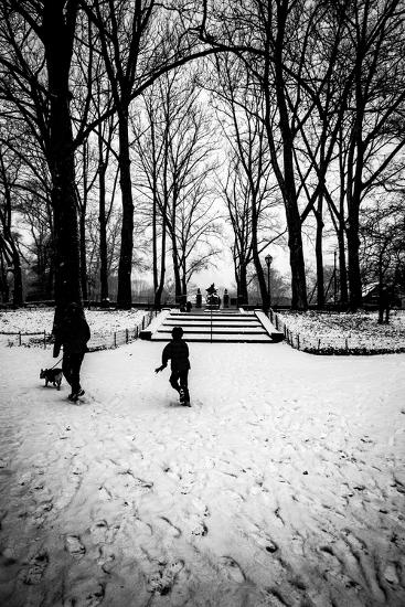 Photographic Print, , large