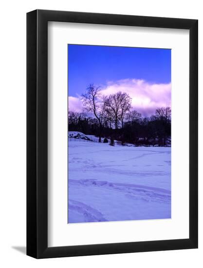 Premium Photographic Print, , large