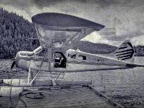 Sea Plane-Guillaume Carels-Laminated Photographic Print