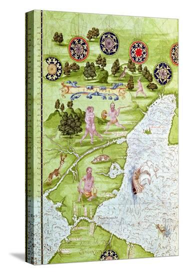 Stretched Canvas Print, , large