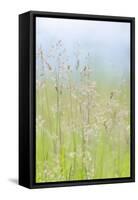 Guillemot Cove Grasses I-Kathy Mahan-Framed Stretched Canvas