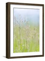 Guillemot Cove Grasses I-Kathy Mahan-Framed Photographic Print