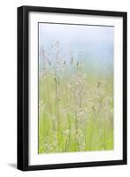 Guillemot Cove Grasses I-Kathy Mahan-Framed Photographic Print