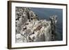 Guillemots, Kittiwakes and Shags on the Cliffs of Staple Island, Farne Islands-James Emmerson-Framed Photographic Print