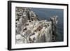 Guillemots, Kittiwakes and Shags on the Cliffs of Staple Island, Farne Islands-James Emmerson-Framed Photographic Print