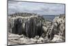 Guillemots, Kittiwakes and Shags on the Cliffs of Staple Island, Farne Islands-James Emmerson-Mounted Photographic Print