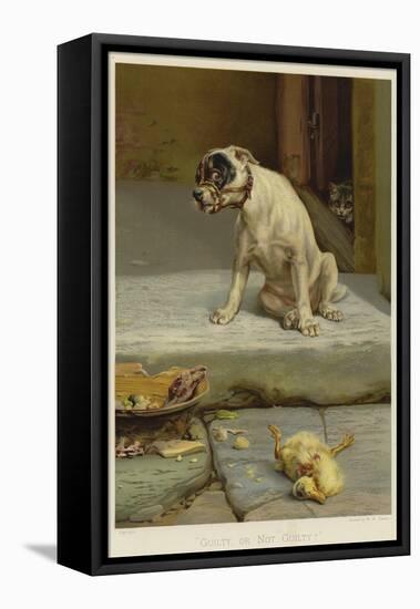 Guilty, or Not Guilty?-William Henry Hamilton Trood-Framed Stretched Canvas