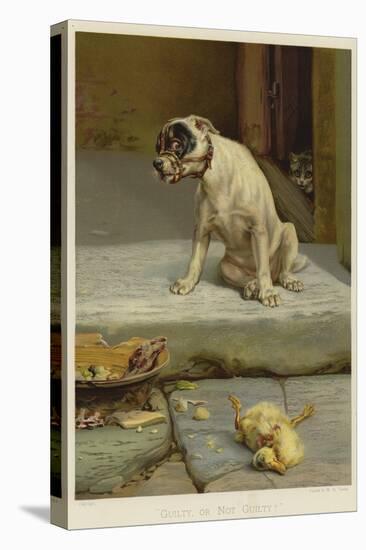 Guilty, or Not Guilty?-William Henry Hamilton Trood-Stretched Canvas