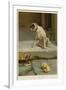 Guilty, or Not Guilty?-William Henry Hamilton Trood-Framed Giclee Print