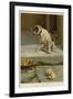 Guilty, or Not Guilty?-William Henry Hamilton Trood-Framed Giclee Print