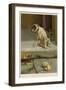 Guilty, or Not Guilty?-William Henry Hamilton Trood-Framed Giclee Print