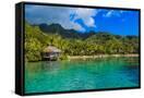 Canvas Black