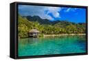 Canvas Black