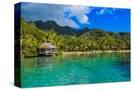 Stretched Canvas