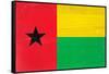 Guinea-Bissau Flag Design with Wood Patterning - Flags of the World Series-Philippe Hugonnard-Framed Stretched Canvas