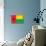 Guinea-Bissau Flag Design with Wood Patterning - Flags of the World Series-Philippe Hugonnard-Stretched Canvas displayed on a wall