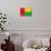 Guinea-Bissau Flag Design with Wood Patterning - Flags of the World Series-Philippe Hugonnard-Stretched Canvas displayed on a wall