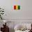 Guinea Flag Design with Wood Patterning - Flags of the World Series-Philippe Hugonnard-Art Print displayed on a wall