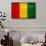 Guinea Flag Design with Wood Patterning - Flags of the World Series-Philippe Hugonnard-Framed Stretched Canvas displayed on a wall