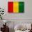 Guinea Flag Design with Wood Patterning - Flags of the World Series-Philippe Hugonnard-Stretched Canvas displayed on a wall