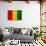 Guinea Flag Design with Wood Patterning - Flags of the World Series-Philippe Hugonnard-Stretched Canvas displayed on a wall