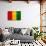 Guinea Flag Design with Wood Patterning - Flags of the World Series-Philippe Hugonnard-Art Print displayed on a wall