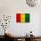 Guinea Flag Design with Wood Patterning - Flags of the World Series-Philippe Hugonnard-Mounted Art Print displayed on a wall